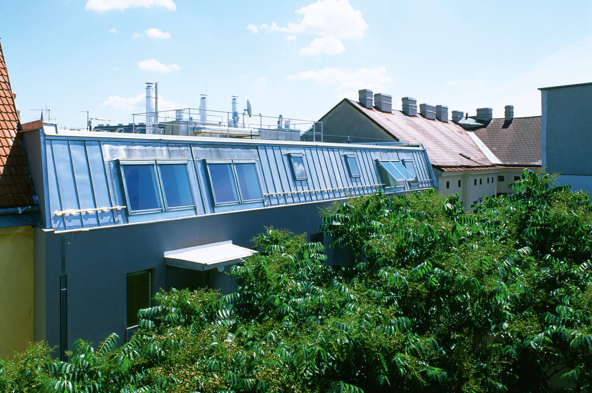 Bäume und Dachgeschoß