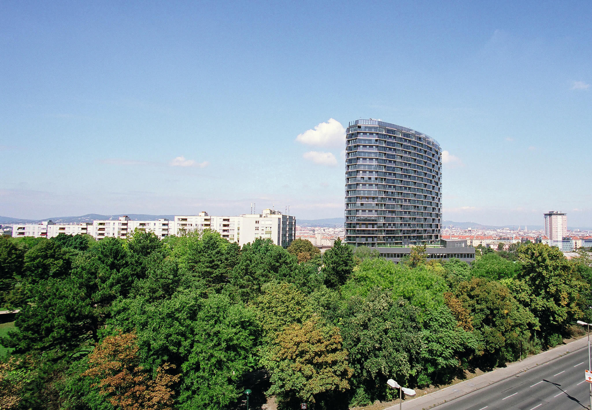 Vogelperspektive zwischen Bäumen